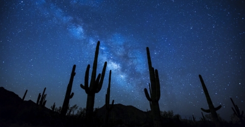 The Night Desert (Baja, Mexico)