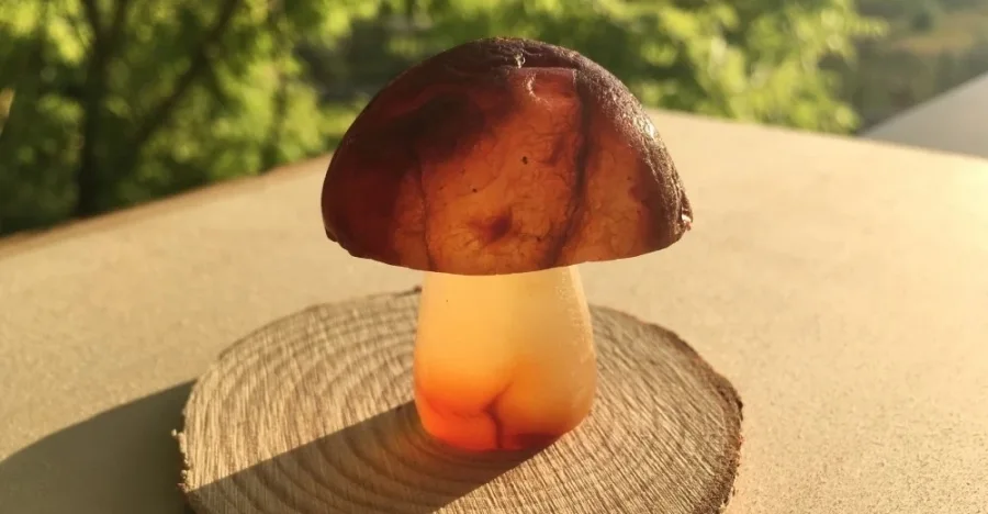 Carnelian crystal