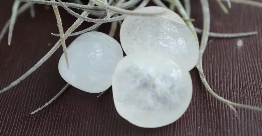 Snow Quartz crystal