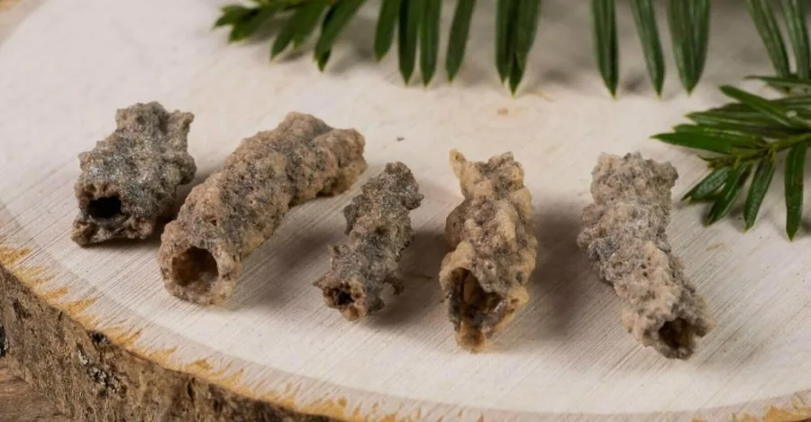 Fulgurite crystal