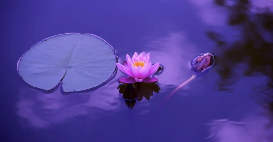 Om Chi crystal