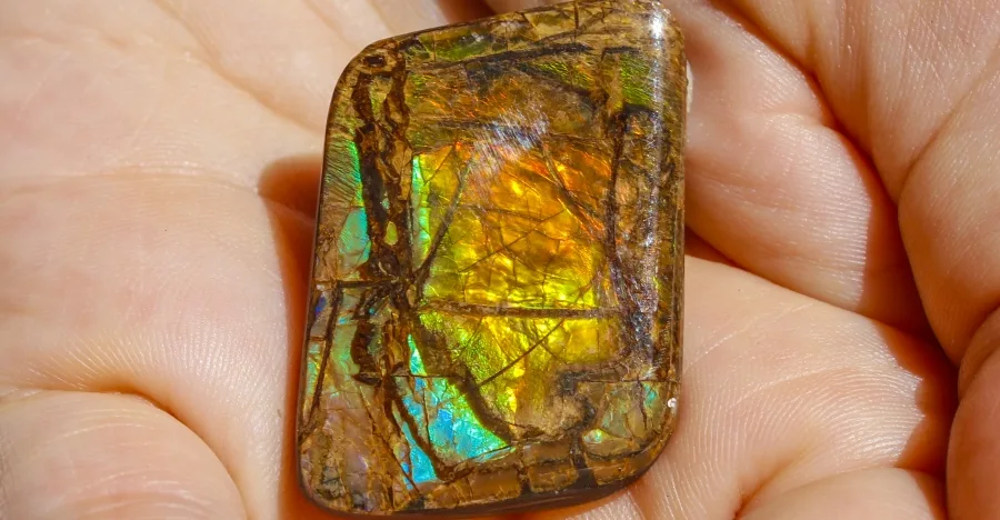 Ammolite crystal
