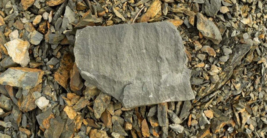 Argillite crystal