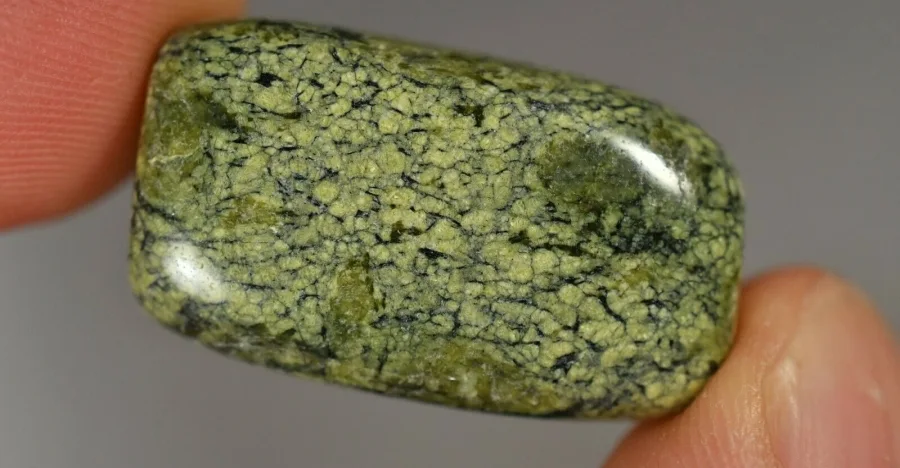 Snakeskin Jasper crystal