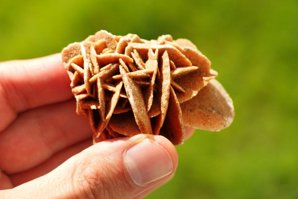 desert-rose-meaning-and-spiritual-properties